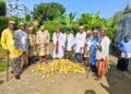 Governor Ben Distributes New-Improved Variety of Cocoa Pods To Farmers