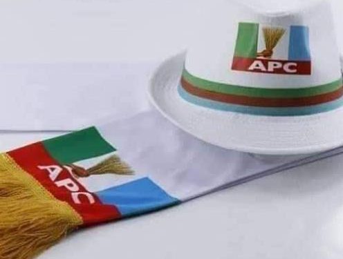 10th NASS: APC NWC Allegedly Dumps Zoning Arrangement