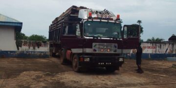 Asegem Enforces Logging Suspension, Seize Truckload of Wood in Ogoja