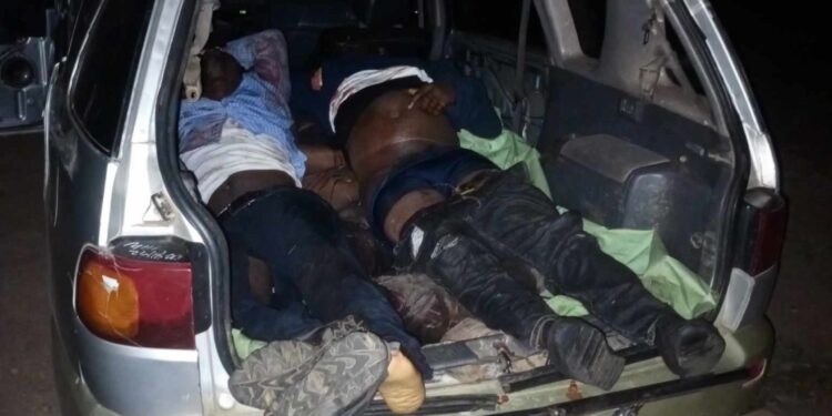 Updated: Seven Seminarians Confirmed Dead in Tragic Bus Accident Near Obudu Ranch