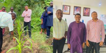 Cross River Moves to Produce 1,000 Hectares of Soybeans, Begins Statewide Training